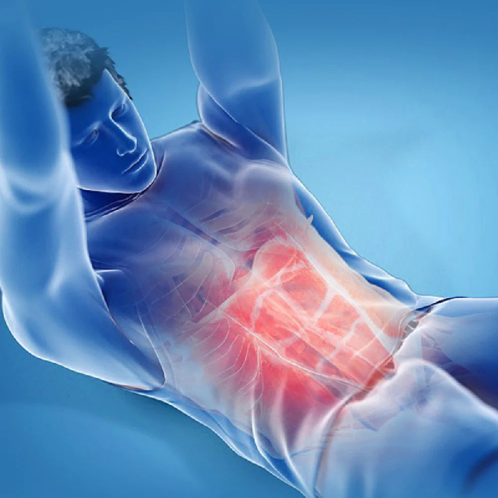 Home Training Exercise Abdominal Toner